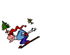 Skieur